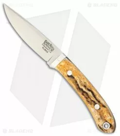 Bark River Blackwater Fixed Blade Knife Antique Stag Bone (3" Elmax)