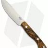 Bark River Mini Kalahari Fixed Blade Knife Bocote Wood (3.75" Satin) 2 Bark River Mini Kalahari Fixed Blade Knife Bocote Wood (3.75" Satin) -Avokelavavat Sales Store Bark River Mini Kalahari Bocote Wood Satin BHQ 38981 er