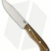 Bark River Sahara Hunter Fixed Blade Knife Bocote Wood (5" Satin)