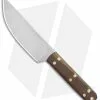 Condor Scalper Knife Fixed Blade Walnut Wood (5.8" Satin) CTK2805-5.9