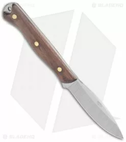 Condor Scotia Fixed Blade Knife Walnut (3.5" Satin) 7 Condor Scotia Fixed Blade Knife Walnut (3.5" Satin) -Avokelavavat Sales Store Condor Scotia Knife Wood Satin BHQ 85622 jr spine