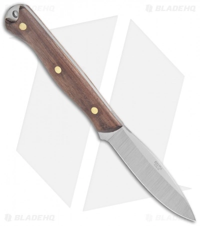 Condor Scotia Fixed Blade Knife Walnut (3.5" Satin) 4 Condor Scotia Fixed Blade Knife Walnut (3.5" Satin) - Image 2