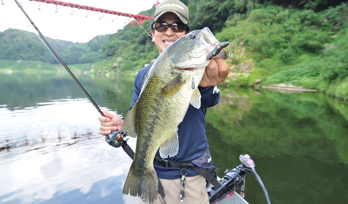 Fish Arrow Free Rig Sinker Tungsten 7 Fish Arrow Free Rig Sinker Tungsten - Image 5