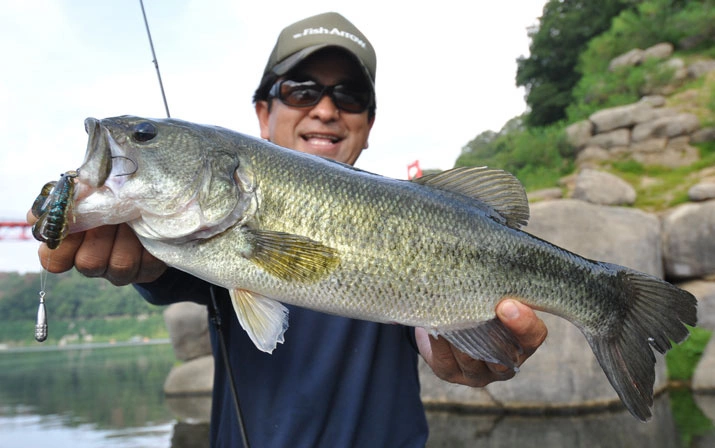 Fish Arrow Free Rig Sinker Tungsten 8 Fish Arrow Free Rig Sinker Tungsten - Image 6