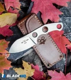 GiantMouse Vox/Anso GMF1 4mm Fixed Blade Knife (2.6" N690) -Avokelavavat Sales Store GiantMouse Vox Anso GMF1 Fixed Blade Knife Elmax BHQ90554 kp rocks red leaves web