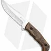 Kizlyar Supreme Knives Caspian Fixed Blade Knife Walnut (5.375" Satin) 1 Kizlyar Supreme Knives Caspian Fixed Blade Knife Walnut (5.375" Satin) -Avokelavavat Sales Store Kizlyar Supreme Caspian Walnut KK0007 BHQ 37476 jr 2