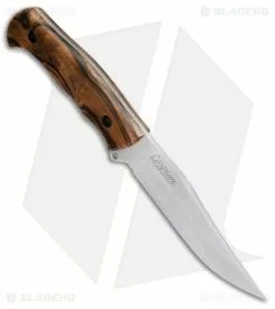 Kizlyar Supreme Knives Caspian Fixed Blade Knife Walnut (5.375" Satin) -Avokelavavat Sales Store Kizlyar Supreme Caspian Walnut KK0007 BHQ 37476 jr spine 2