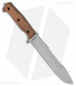 Kizlyar Supreme Survivalist X Fixed Blade Knife Walnut Wood (7.5" Satin) KK0241 -Avokelavavat Sales Store Kizlyar Supreme Suvivalist X AUS 8 Walnut Fixed Blade Satin BHQ 73424 jr spine