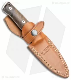 LionSteel B35 Fixed Blade Knife Walnut Wood (3.5" Satin) -Avokelavavat Sales Store LionSteel B35 Fixed Blade Knife Walnut Wood Satin BHQ 109508 kp sheath