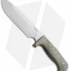 LionSteel M7 Hunting Fixed Blade Knife Tan Micarta (7" Satin) -Avokelavavat Sales Store LionSteel M7 Green Micarta Satin BHQ 113521 jr