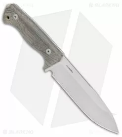 LionSteel T6 Hunting Fixed Blade Knife Green Micarta (6" Satin) -Avokelavavat Sales Store Lionsteel T6 Hunting Fixed Blade Green Micarta Satin BHQ 144734 jr spine
