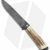 Olamic Cutlery Suna Fixed Blade Knife Stag (5.75" Damascus) #4344 -Avokelavavat Sales Store Olamic Cutlery Suna Stag damascus 4344 BHQ 71924 er