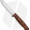 Ontario Knife Company Ontario Bushcraft Field Fixed Blade Knife Walnut W/ Nylon Sheath (5" Satin) 8696 -Avokelavavat Sales Store Ontario Bushcraft Walnut Nylon Sheath Satin 8696 BHQ 75493 jr