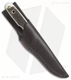 Puma Raubwild Fixed Blade Knife Stag (3.75" Satin Serr) 113403 -Avokelavavat Sales Store Puma Raubwild Stag BHQ 67752 er sheath