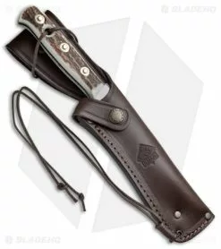 Puma Bowie Fixed Blade Knife Stag Horn (6.5" Satin) 116396 -Avokelavavat Sales Store Puma Stag Horn Bowie 116396 BHQ 52297 jr sheath