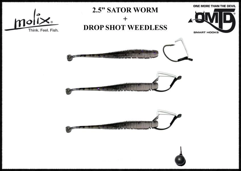 Molix Sator Worm 2,5'', 6,3cm 5 Molix Sator Worm 2,5'', 6,3cm - Image 3