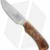 Arno Bernard Knives Nyala Fixed Blade Knife Maple Burl (3.63" Satin)