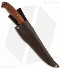 Condor Tiburoncito Knife Fishing Fixed Blade (6.5" Bead Blast Plain) CTK7031-6.5 -Avokelavavat Sales Store condor tool knife fixed ctk7031 6.5 tiburoncito knife 6.5 in w brown sheath