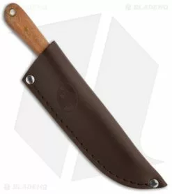 Condor Tavian Knife Fixed Blade (4.5" Plain) CTK249-4HC -Avokelavavat Sales Store condor tools knives fixed tavian ctk249 4hc sheath