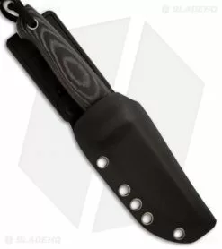 Kizlyar Supreme Knives Nikki AUS-8 Fixed Blade Knife (3.5" Satin Plain) -Avokelavavat Sales Store kizlyar supreme santi kk0045 sheath 1