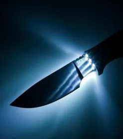 SOG Bladelight Hunt Fixed Blade Knife Orange (3.8" Satin) BLT20L -Avokelavavat Sales Store sog bladelight hunt blt20l cp blacklight