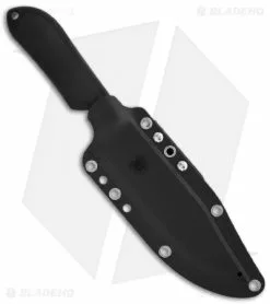 Spyderco Perrin Street Bowie Fixed Blade Knife (5" Black) FB04PBB -Avokelavavat Sales Store spyderco fb4pbb fixed black plain sheath